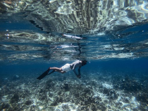 The Ultimate Guide to Olowalu Beach Snorkeling – Discover the Underwater Paradise