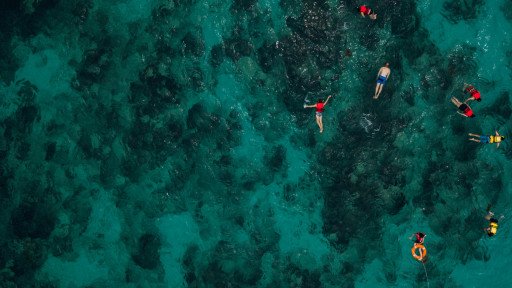 The Ultimate Guide to Coral Reef Snorkeling: Discovering the Underwater Paradise